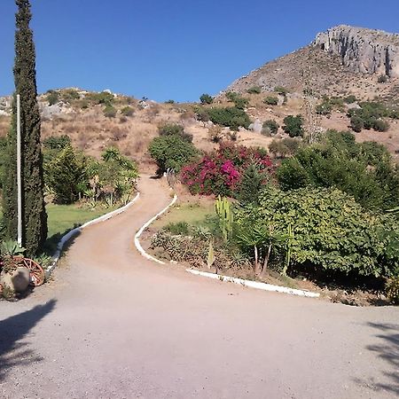 Finca Santa Matilde Màlaga Exteriér fotografie