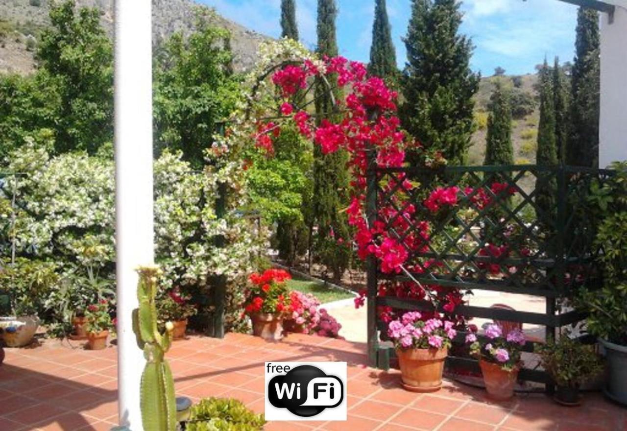 Finca Santa Matilde Màlaga Exteriér fotografie